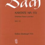 Bach, Johann Sebastian : Cantata BWV 173 “Erhoehtes Fleisch und Blut”