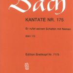 Bach, Johann Sebastian : Cantata BWV 175 “Er rufet seinen Schafen mit Namen”