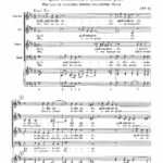 Schütz, Heinrich : Passion Motets