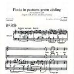 Johann Sebastian Bach : Flocks In Pastures Green Abiding