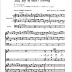 Johann Sebastian Bach : Jesu, Joy Of Man's Desiring